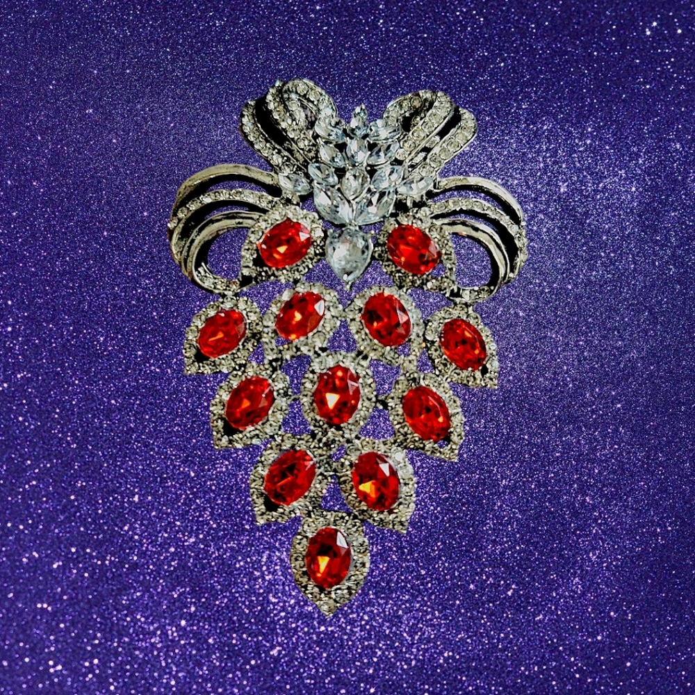 Elegant Silver and Red Gemstone Brooch